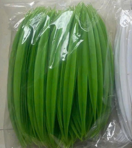 Vảy dứa xanh