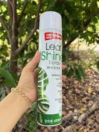 Sơn xịt bóng lá
